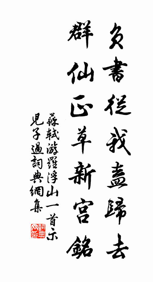 苏轼负书从我盍归去，群仙正草新宫铭书法作品欣赏