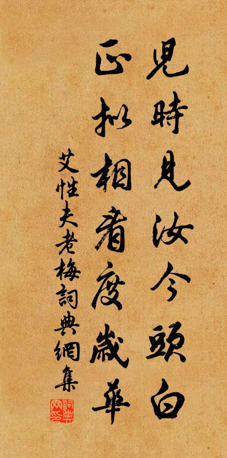艾性夫儿时见汝今头白，正拟相看度岁华书法作品欣赏