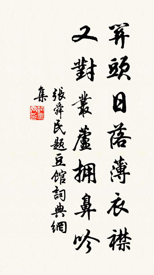 张舜民关头日落薄衣襟，又对丛芦拥鼻吟书法作品欣赏