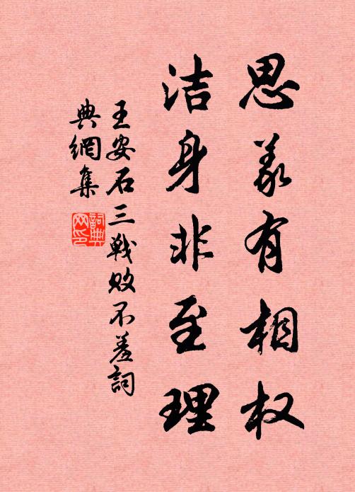 王安石思义有相权，洁身非至理书法作品欣赏