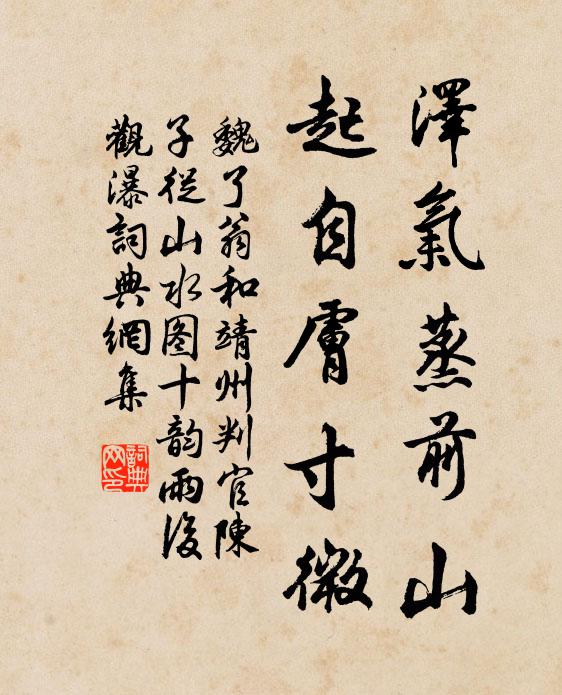 魏了翁泽气蒸前山，起自肤寸微书法作品欣赏