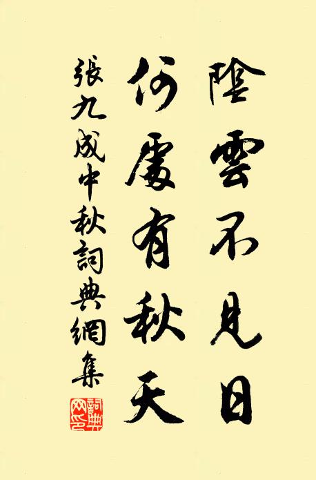 张九成阴云不见日，何处有秋天书法作品欣赏