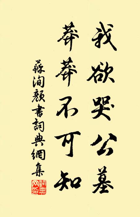 苏洵我欲哭公墓,莽莽不可知书法作品欣赏