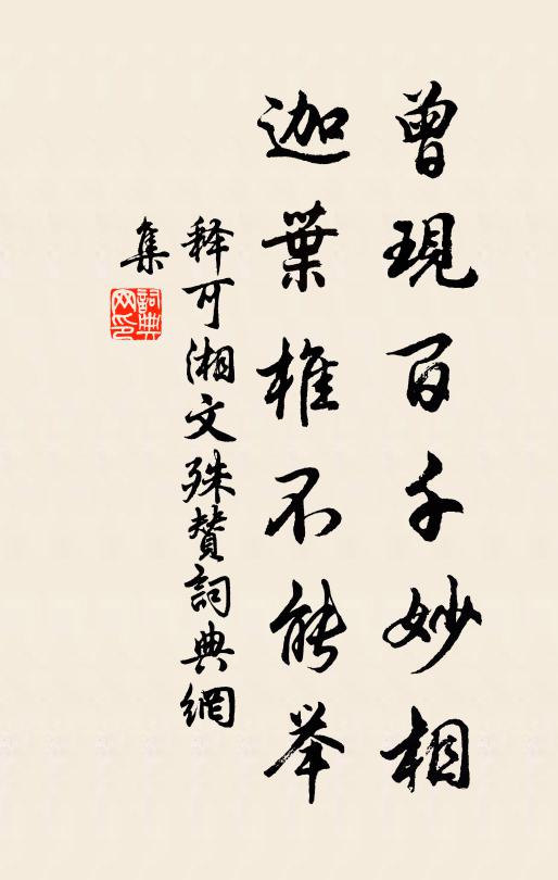 释可湘曾现百千妙相，迦叶椎不能举书法作品欣赏
