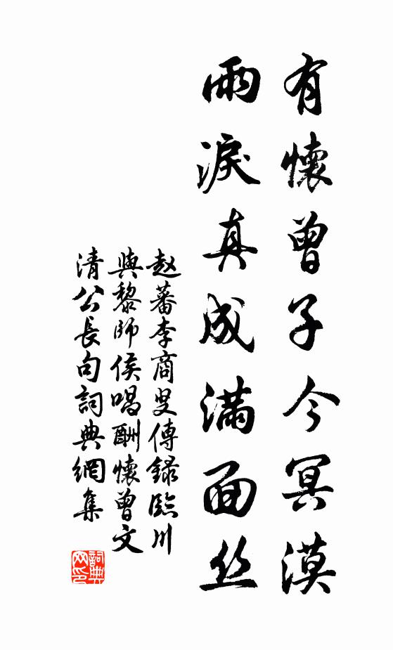赵蕃有怀曾子今冥漠，雨泪真成满面丝书法作品欣赏