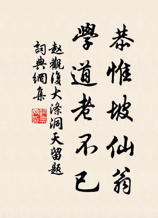 赵观复恭惟坡仙翁，学道老不已书法作品欣赏