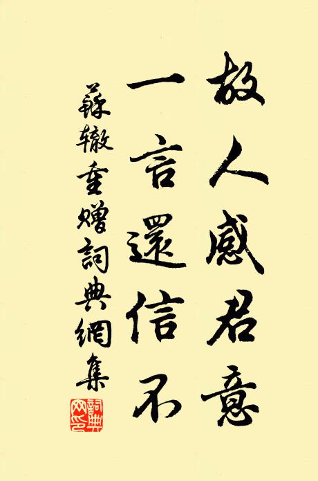 苏辙故人感君意，一言还信不书法作品欣赏