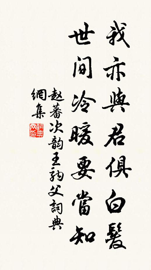 赵蕃我亦与君俱白发，世间冷暖要当知书法作品欣赏