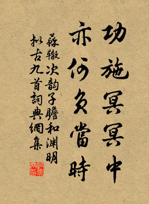 苏辙功施冥冥中，亦何负当时书法作品欣赏