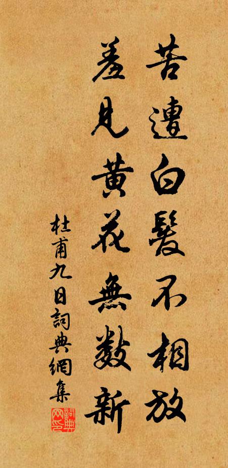 杜甫苦遭白发不相放，羞见黄花无数新书法作品欣赏