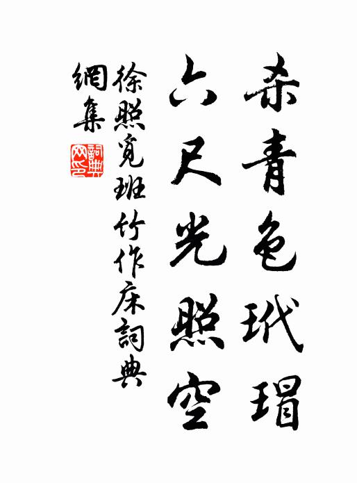 徐照杀青色玳瑁，六尺光照空书法作品欣赏