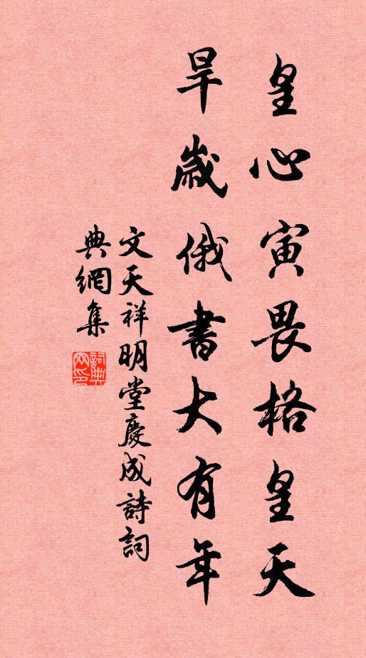 文天祥皇心寅畏格皇天，旱岁俄书大有年书法作品欣赏