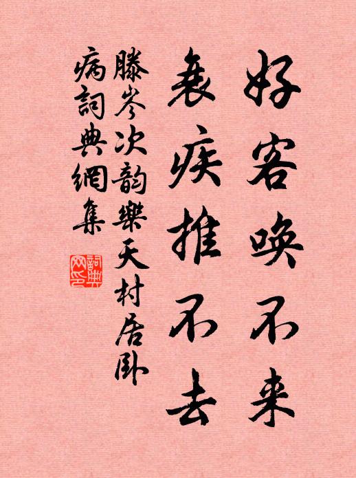 滕岑好客唤不来，衰疾推不去书法作品欣赏