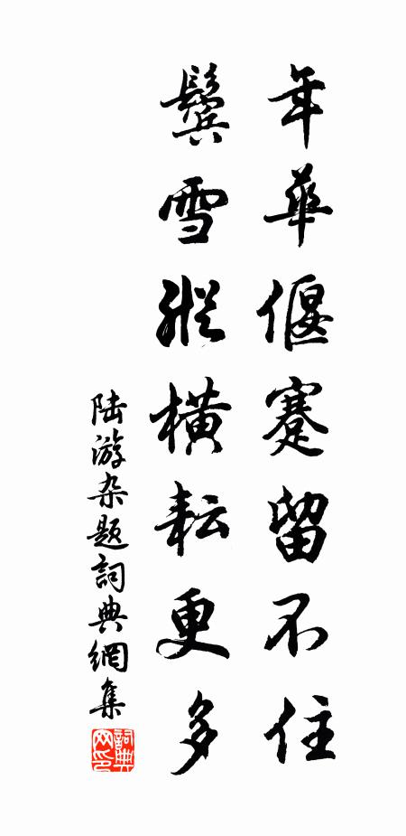 陆游年华偃蹇留不住，鬓雪纵横耘更多书法作品欣赏