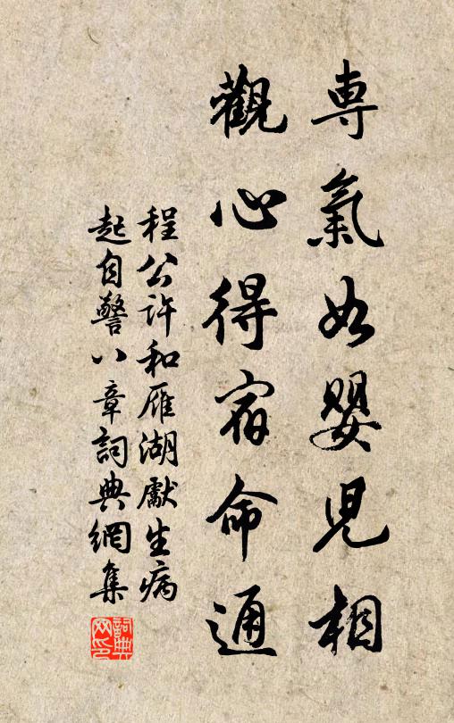 程公许专气如婴儿相，观心得宿命通书法作品欣赏