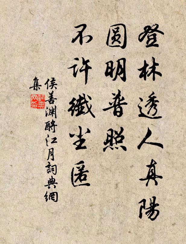 侯善渊登林透人真阳，圆明普照，不许纤尘匿书法作品欣赏