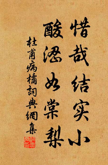 杜甫惜哉结实小，酸涩如棠梨书法作品欣赏