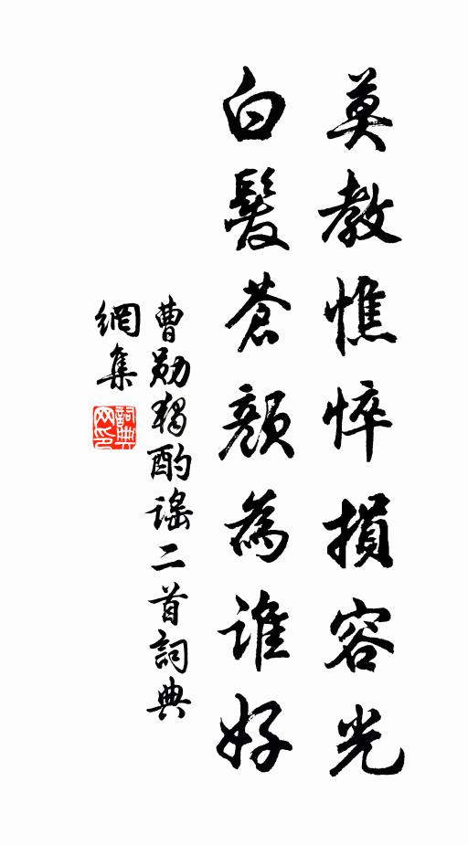 曹勋莫教憔悴损容光，白发苍颜为谁好书法作品欣赏