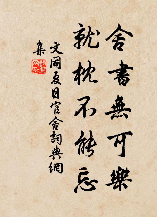 文同舍书无可乐，就枕不能忘书法作品欣赏