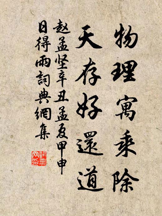 赵孟坚物理寓乘除，天存好还道书法作品欣赏