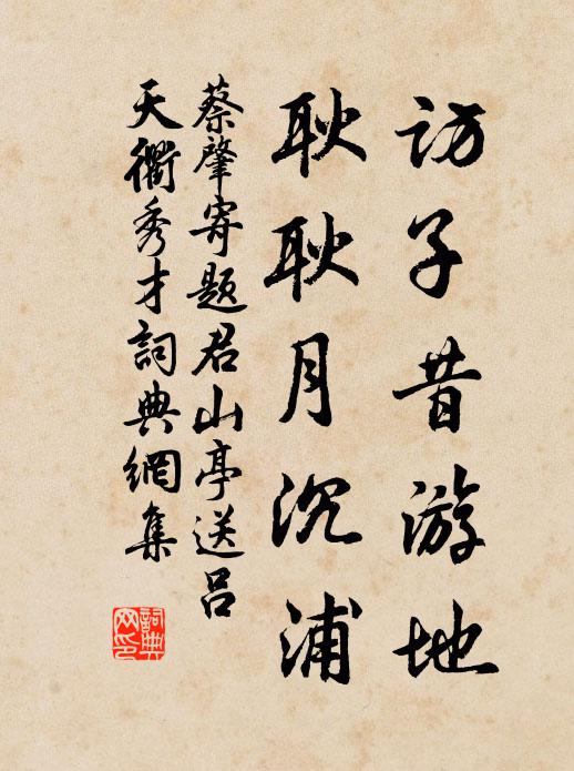 蔡肇访子昔游地，耿耿月沉浦书法作品欣赏