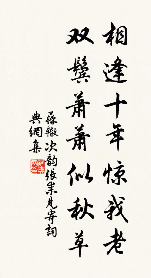 苏辙相逢十年惊我老，双鬓萧萧似秋草书法作品欣赏