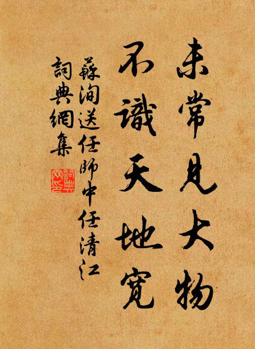 苏洵未常见大物，不识天地宽书法作品欣赏