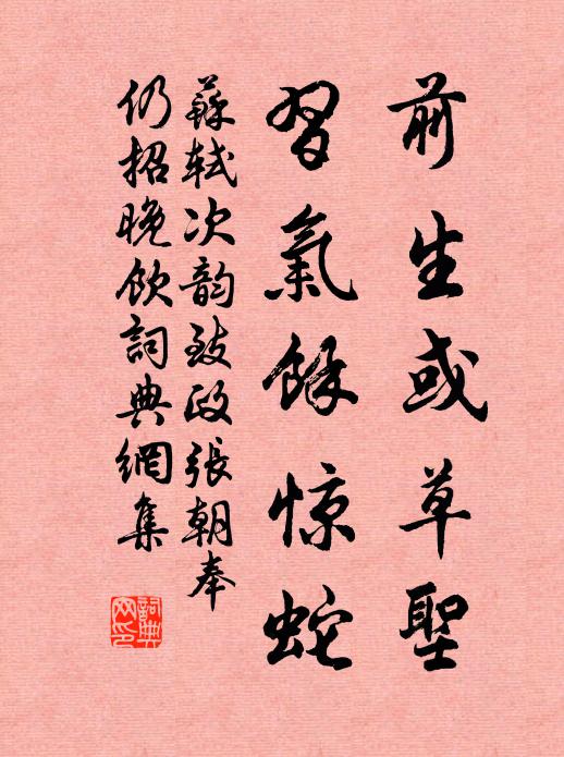 苏轼前生或草圣，习气馀惊蛇书法作品欣赏