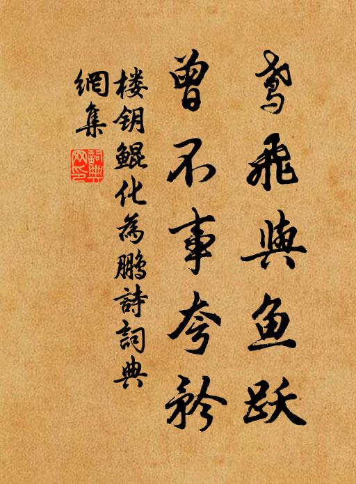 楼钥鸢飞与鱼跃，曾不事夸矜书法作品欣赏