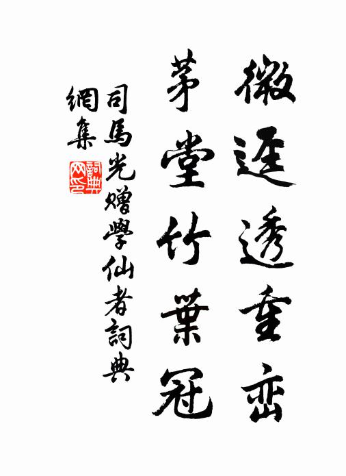 司马光微迳透重峦，茅堂竹叶冠书法作品欣赏