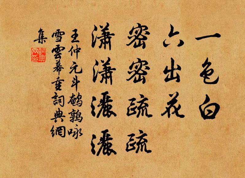 王仲元一色白，六出花，密密疏疏，潇潇洒洒书法作品欣赏