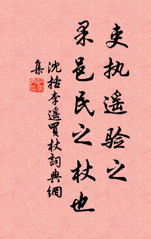 沈括吏执遥验之，果邑民之杖也书法作品欣赏