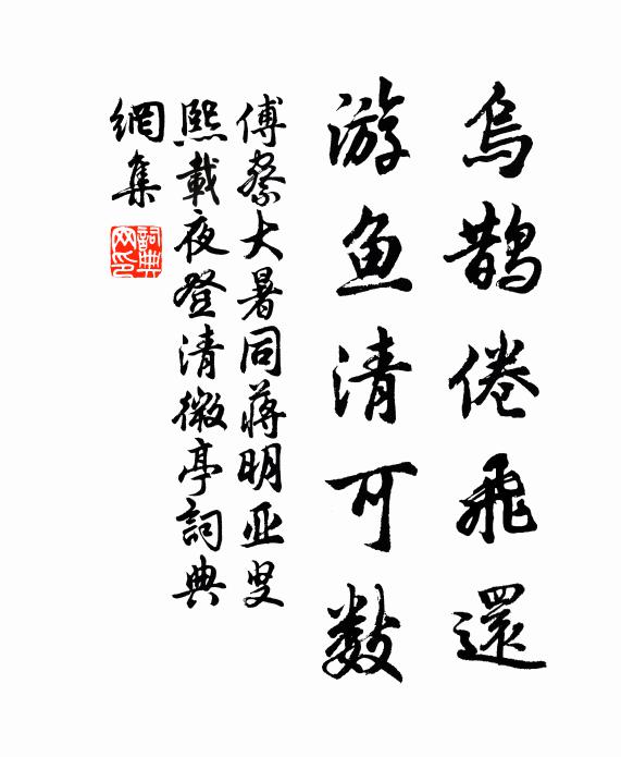傅察乌鹊倦飞还，游鱼清可数书法作品欣赏