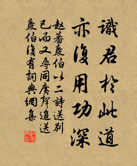 赵蕃识君于此道，亦复用功深书法作品欣赏