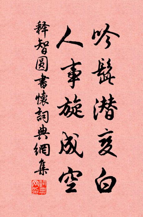 释智圆吟髭潜变白，人事旋成空书法作品欣赏