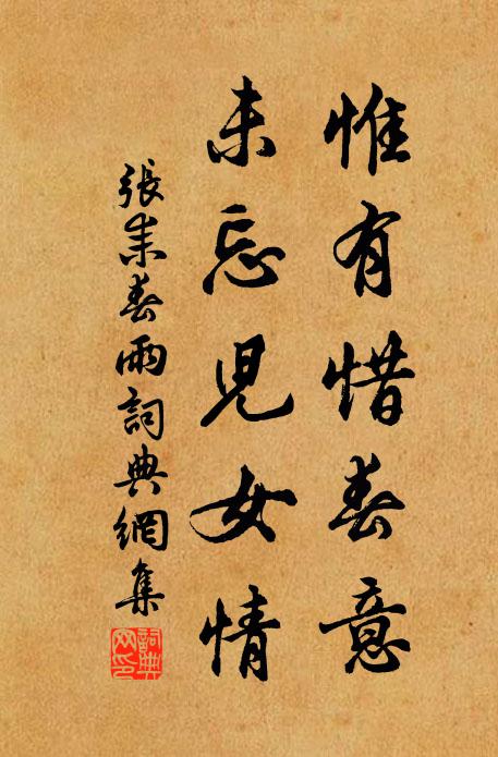 张耒惟有惜春意，未忘儿女情书法作品欣赏