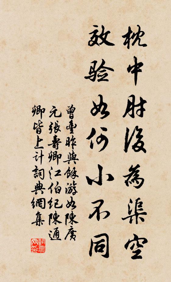曾丰枕中肘后为渠空，效验如何小不同书法作品欣赏