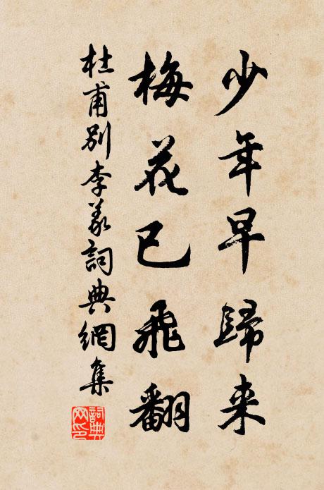 杜甫少年早归来，梅花已飞翻书法作品欣赏