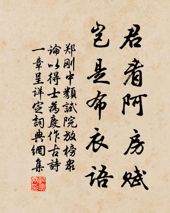 郑刚中君看阿房赋，岂是布衣语书法作品欣赏