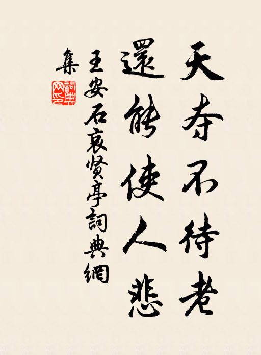 王安石天夺不待老，还能使人悲书法作品欣赏
