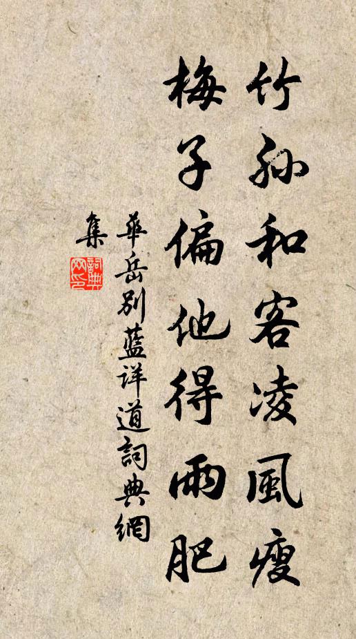 华岳竹孙和客凌风瘦，梅子偏他得雨肥书法作品欣赏