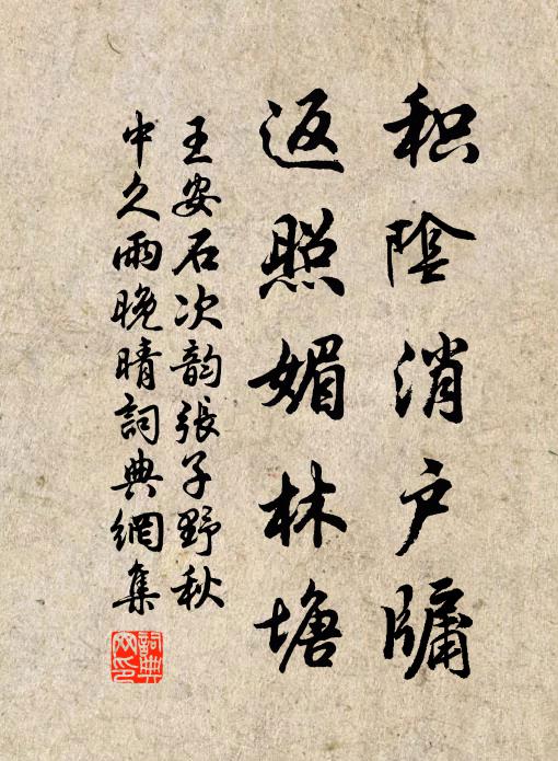王安石积阴消户牖，返照媚林塘书法作品欣赏