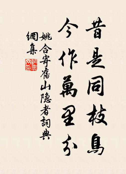 姚合昔是同枝鸟，今作万里分书法作品欣赏