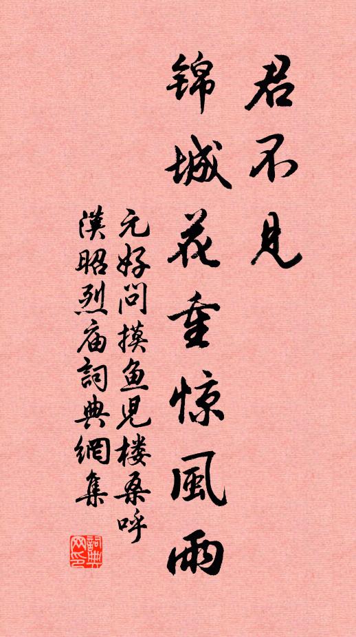 元好问君不见、锦城花重惊风雨书法作品欣赏