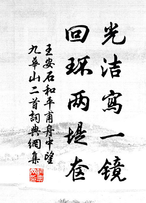 王安石光洁写一镜，回环两堤奁书法作品欣赏