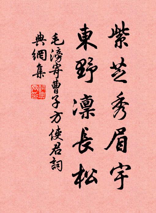 毛滂紫芝秀眉宇，东野凛长松书法作品欣赏
