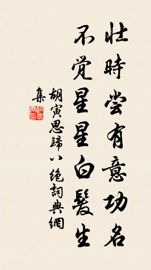胡寅壮时尝有意功名，不觉星星白发生书法作品欣赏