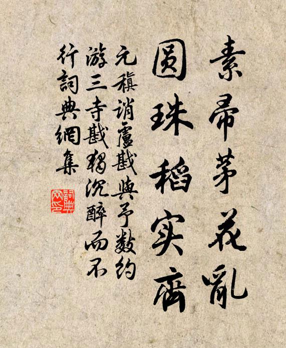 元稹素帚茅花乱，圆珠稻实齐书法作品欣赏