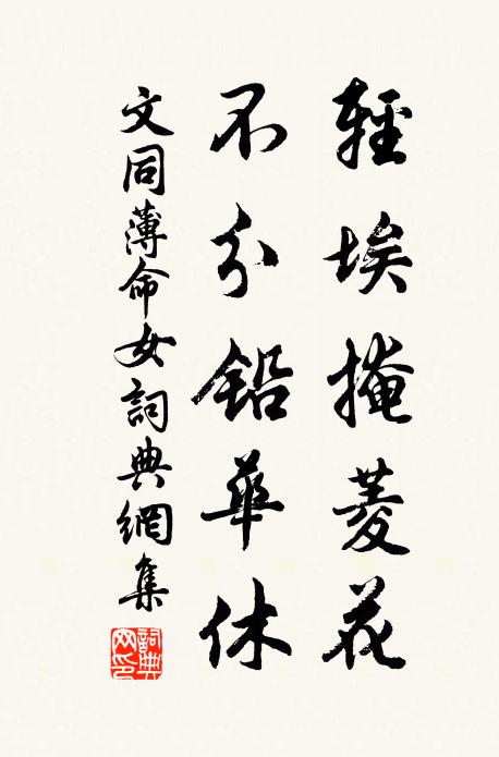 文同轻埃掩菱花，不分铅华休书法作品欣赏