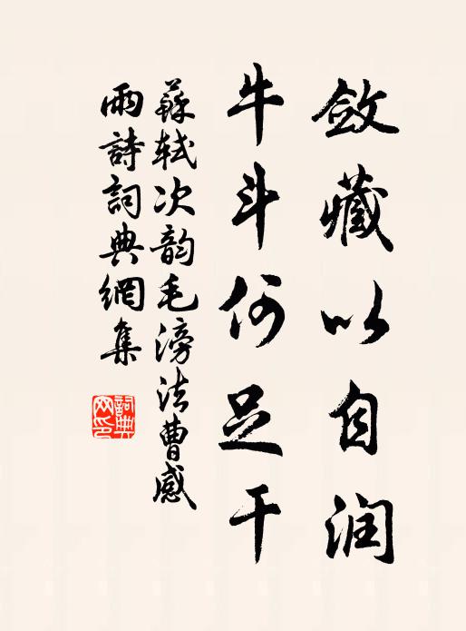 苏轼敛藏以自润，牛斗何足干书法作品欣赏